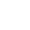 An image of the shop icon